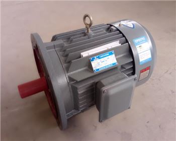 立式電機(jī)